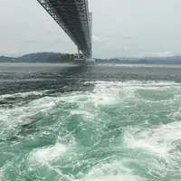 うずしお観潮船の写真・動画_image_253008
