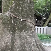 伊弉諾神宮の写真・動画_image_253065