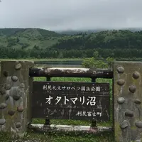 利尻島の写真・動画_image_253168