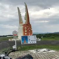 カニの爪の写真・動画_image_253178