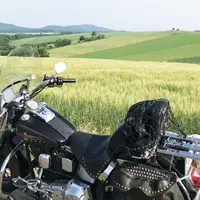 パッチワークの路の写真・動画_image_253208