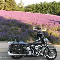 ファーム富田の写真・動画_image_253211