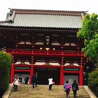 鶴岡八幡宮の写真・動画_image_253249