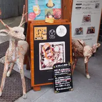 cica（シカ）の写真・動画_image_253343