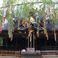 大崎八幡宮の写真・動画_image_253460