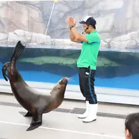 仙台うみの杜水族館の写真・動画_image_253512