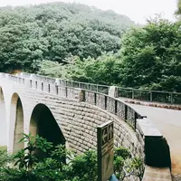 七沢森林公園の写真・動画_image_253585