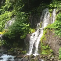 吐竜の滝の写真・動画_image_253803