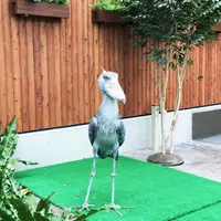 掛川花鳥園の写真・動画_image_253840