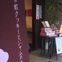 ｍａｉｃｏｔｏの写真・動画_image_254371