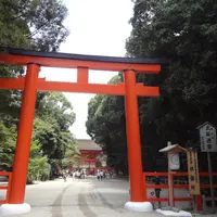 下鴨神社（賀茂御祖神社）の写真・動画_image_254542