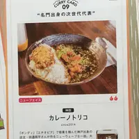 カレーノトリコの写真・動画_image_254700