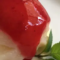 ふくろふ森の写真・動画_image_254837