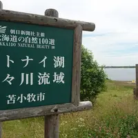 ウトナイ湖の写真・動画_image_255019