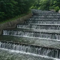 奥沢キャンプ場の写真・動画_image_255028