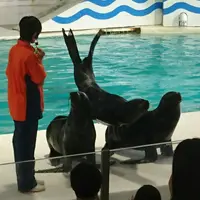 おたる水族館の写真・動画_image_255030