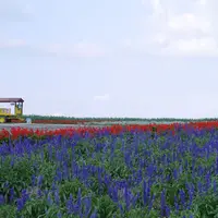 かんのファームの写真・動画_image_255092