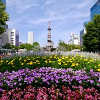 大通公園の写真・動画_image_255098