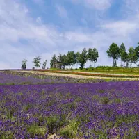 【閉業】彩香の里の写真・動画_image_255101