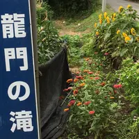 龍門の滝の写真・動画_image_255370