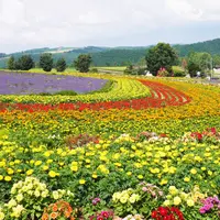 ぜるぶの丘の写真・動画_image_255426