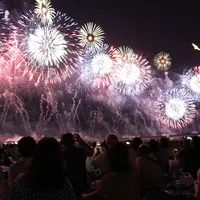 長岡まつり大花火大会の写真・動画_image_255701