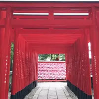 三光稲荷神社の写真・動画_image_255860