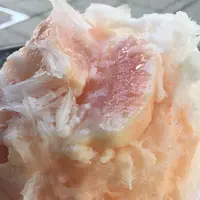 エチエンヌの写真・動画_image_255885