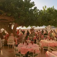 ハウ ツリー ラナイの写真・動画_image_256479