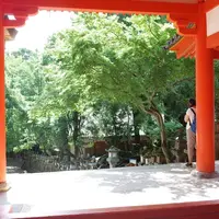 春日大社の写真・動画_image_256636