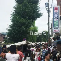 宮川朝市の写真・動画_image_256826