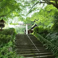 日向大神宮の写真・動画_image_256893