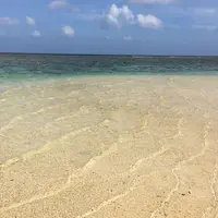 米原ビーチの写真・動画_image_257481