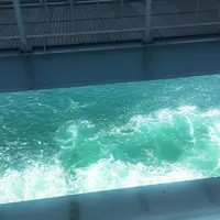 渦の道の写真・動画_image_257486