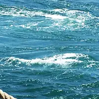 鳴門渦潮の写真・動画_image_257672