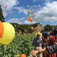 淡路ファームパーク イングランドの丘の写真・動画_image_257673