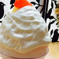 ほうせき箱の写真・動画_image_257864