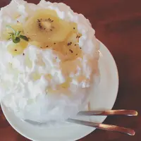 レモンの木の写真・動画_image_257888
