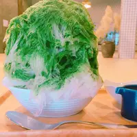 shizukuの写真・動画_image_257889