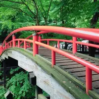 河鹿橋の写真・動画_image_257936
