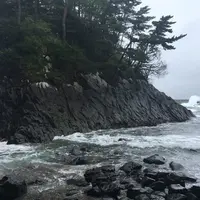 神割崎の写真・動画_image_257962