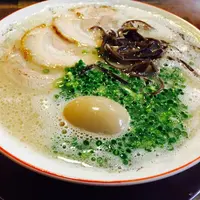 博多らーめん博多一丁の写真・動画_image_257971