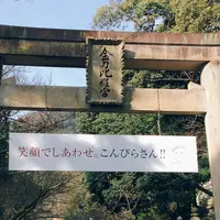 金刀比羅宮（こんぴらさん）の写真・動画_image_258008
