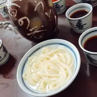 釜揚げうどん 長田 in 香の香の写真・動画_image_258011