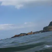 熊野海水浴場の写真・動画_image_258415