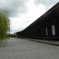 蓮華王院 三十三間堂の写真・動画_image_258840