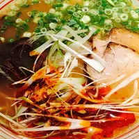 博多うま馬の写真・動画_image_259452