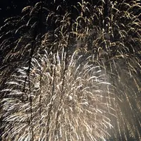 新潟夏祭りの写真・動画_image_259598