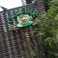 Urth Caffé 代官山店（アースカフェ）の写真・動画_image_259664