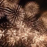 おぢやまつり花火大会の写真・動画_image_259744